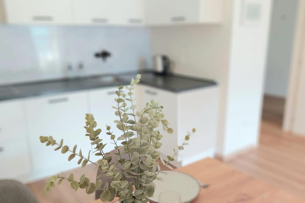 Renovated Flat Close To The Centre Merano Dış mekan fotoğraf